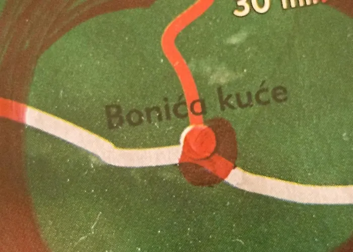 App Bonic