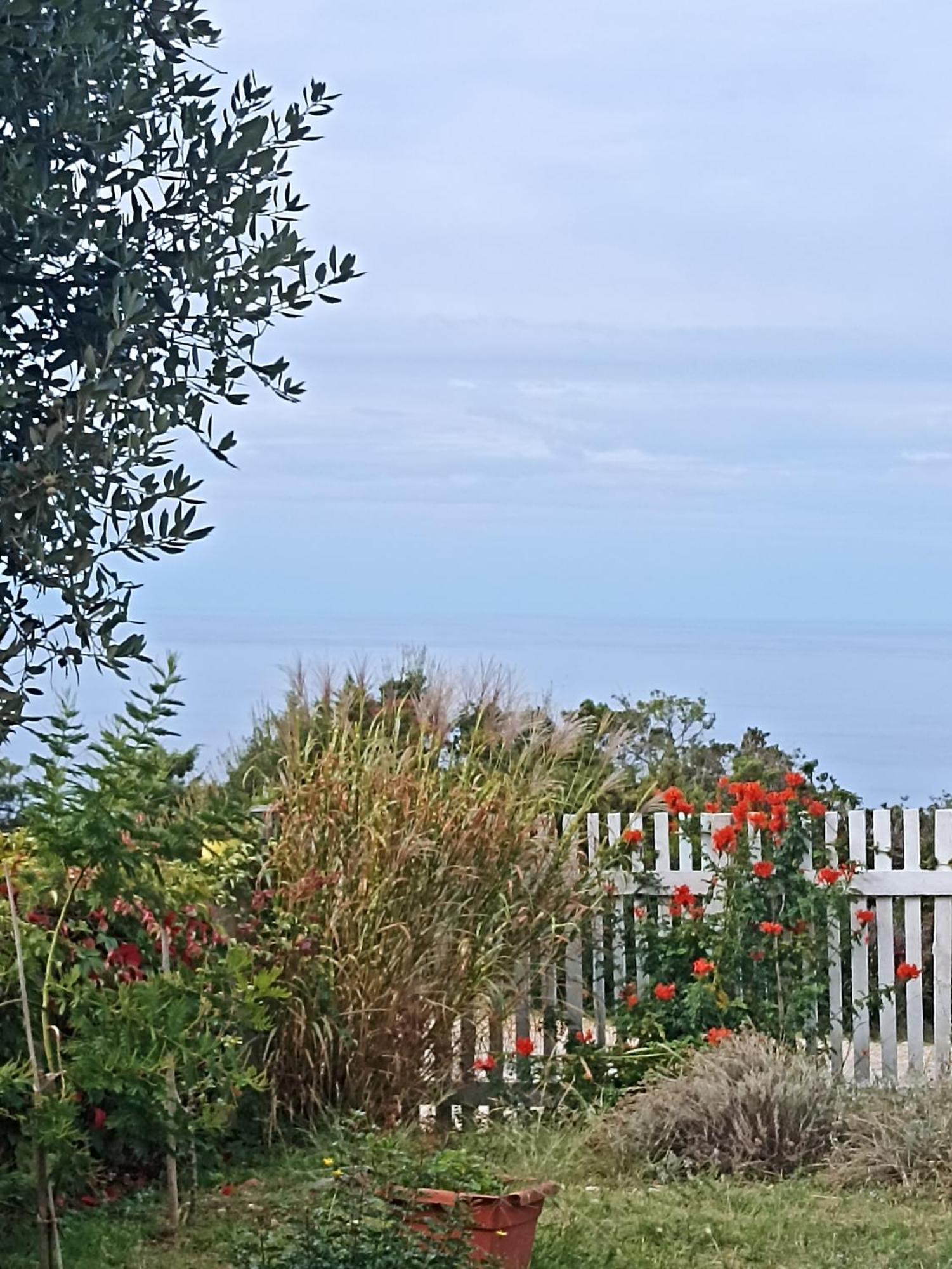 App Bonic Apartment Veli Losinj