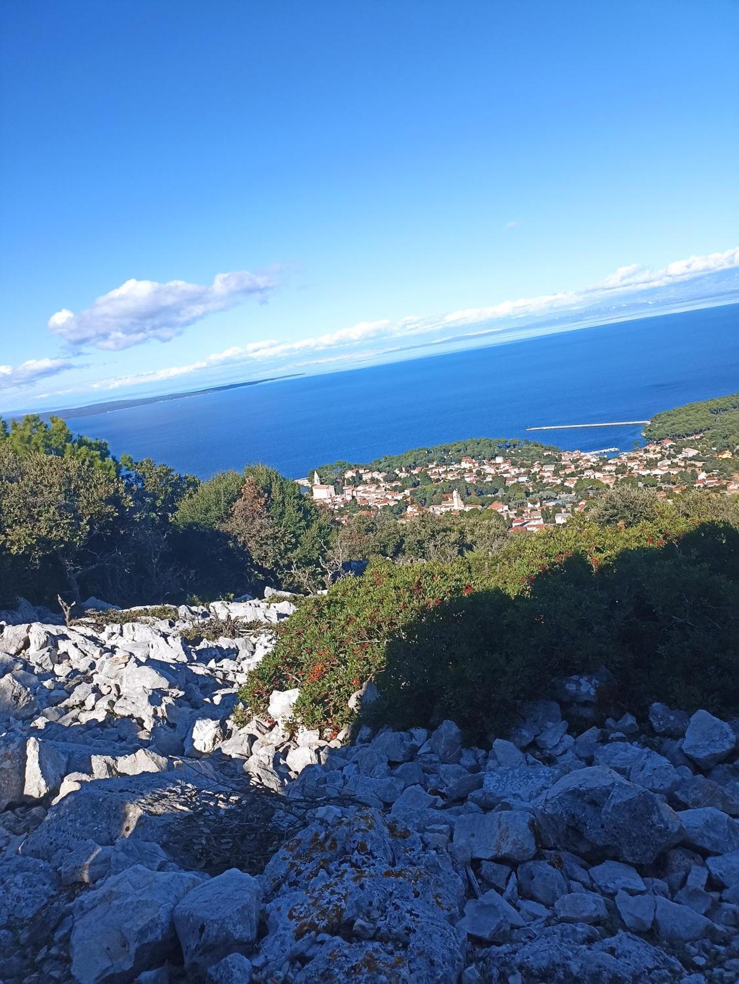 Apartment App Bonic Veli Losinj