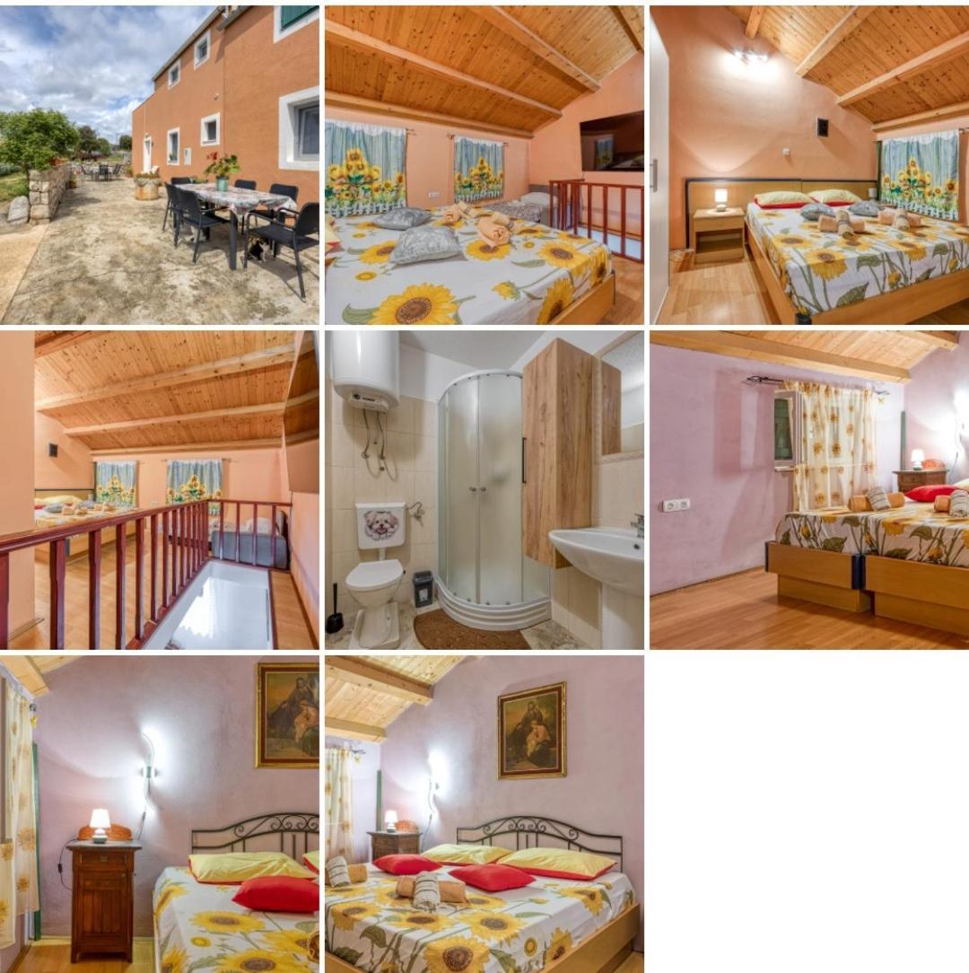 Apartment App Bonic *