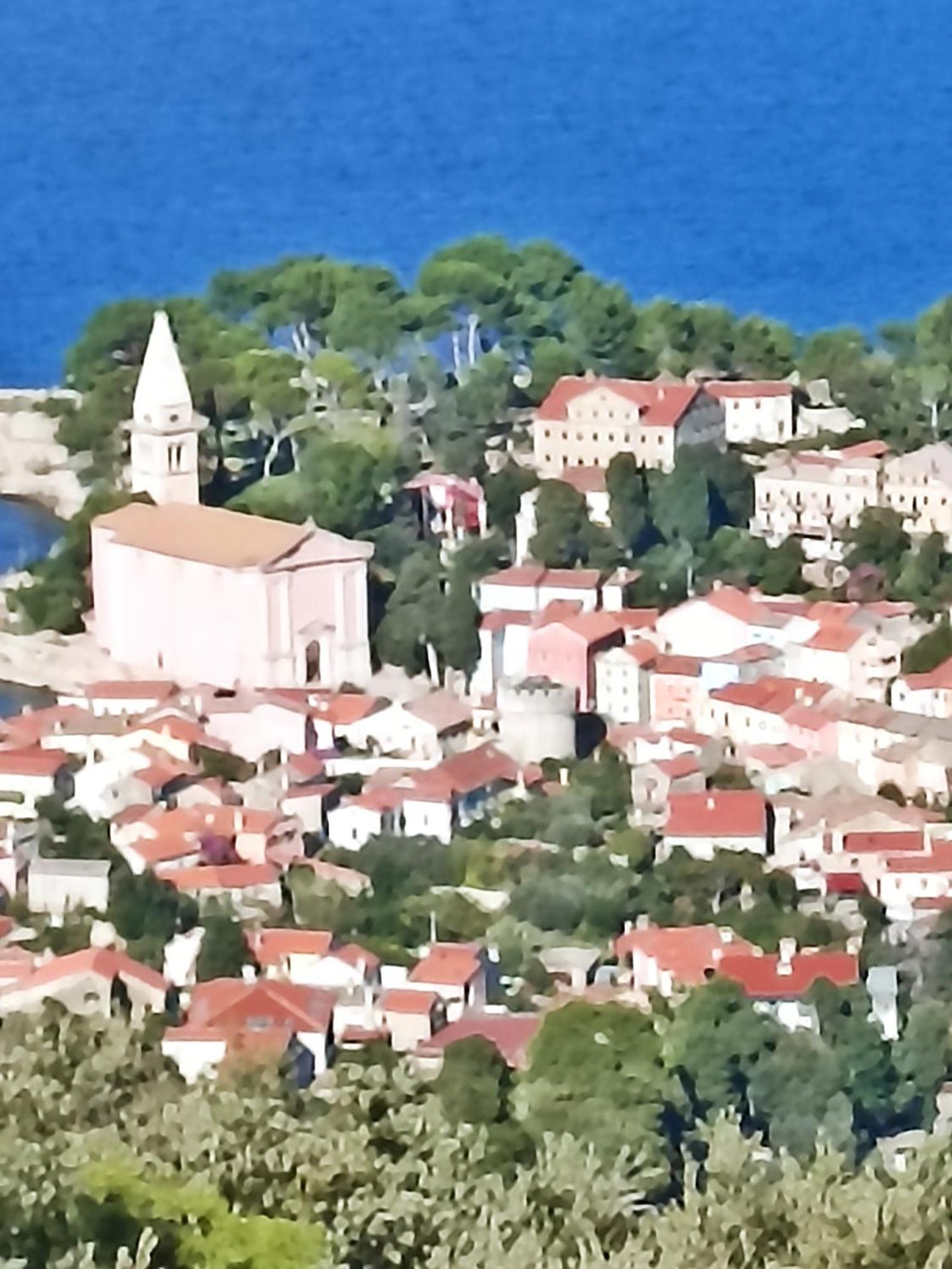 App Bonic * Veli Lošinj