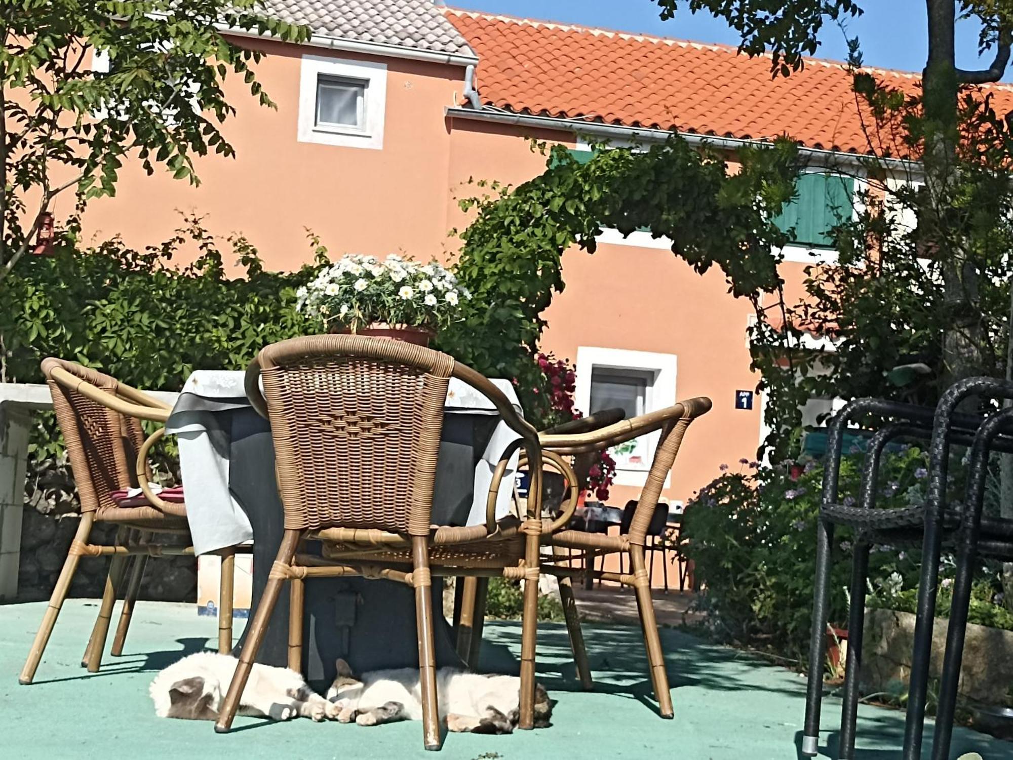 Appartement App Bonic *